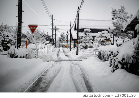 A residential area in a snowy country after heavy snowfall 137001156
