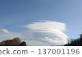 藍天白雲，點綴著冬日樹木，構成一幅全景背景。 137001196