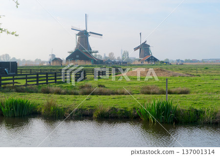 skyline of old town Zaanse Schans 137001314