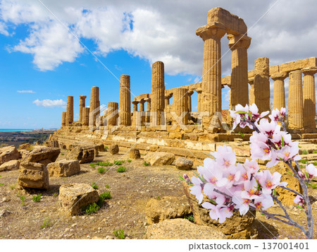 Agrigento site with ancient greek ruins, Sicily Agrigento site with ancient greek ruins, Sicily 137001401