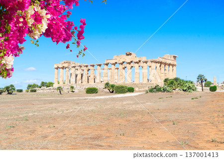 Selinunte site with ancient greek ruins, Sicily Selinunte site with ancient greek ruins, Sicily 137001413