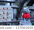 Komainu在神社 137001650