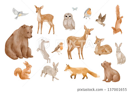 Watercolour woodland animals set featuring cute forest deer, bear, squirrel, and fox. Adorable wildlife illustration Watercolour woodland animals set featuring cute forest deer, bear, squirrel, and fox. Adorable wildlife illustration 137001655