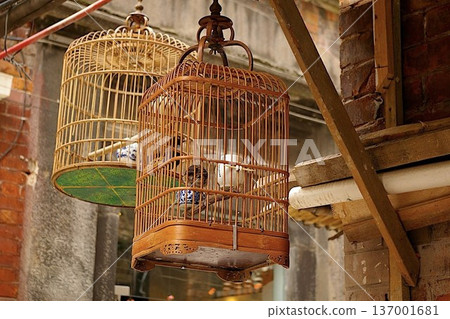 鳥籠 鳥籠 137001681