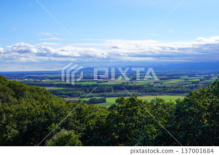 Autumn at Shin-Arashiyama Sky Park Observatory (2024) Autumn at Shin-Arashiyama Sky Park Observatory (2024) 137001684