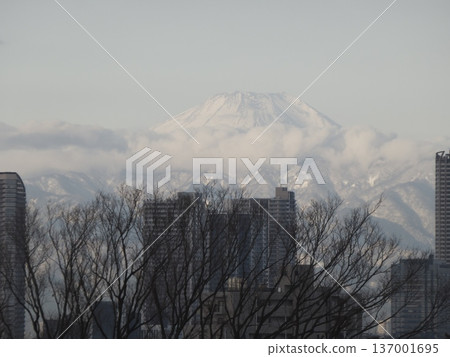 February 9, 2026 Mount Fuji and the Tanzawa Mountains floating in a sea of clouds as seen from Sanno, Ota Ward February 9, 2026 Mount Fuji and the Tanzawa Mountains floating in a sea of clouds as seen from Sanno, Ota Ward 137001695