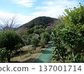 The view from Mt. Nesugata 137001714