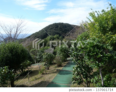 從根鬚賀山看的景色 137001714