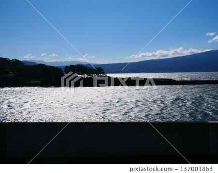 沼津港 沼津港 137001863