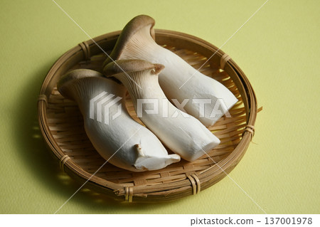 king oyster mushroom 137001978
