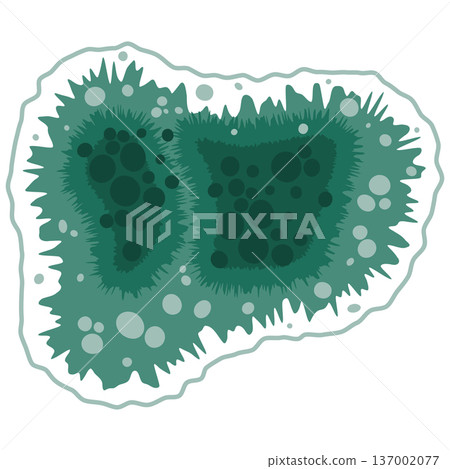 Green mold fungus growth illustration Green mold fungus growth illustration 137002077