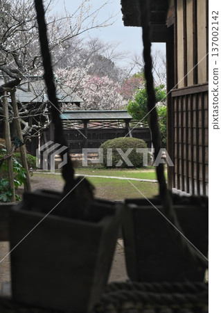 著名的房子和梅花 著名的房子和梅花 137002142