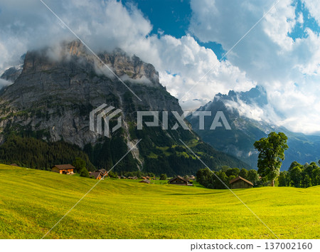 Majestic mountains rise in the background as quaint wooden cabins dot green landscape. A winding path guides a visitor through this serene Swiss alps. Grindelwald Jungfrau Bernese alps Switzerland. Majestic mountains rise in the background as quaint wooden cabins dot green landscape. A winding path guides a visitor through this serene Swiss alps. Grindelwald Jungfrau Bernese alps Switzerland. 137002160