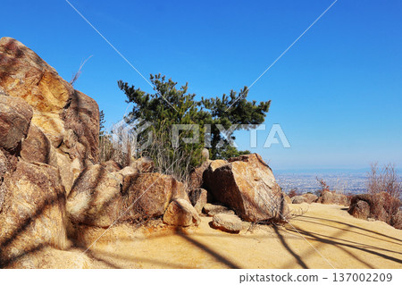 風吹岩(兵庫縣)的景色 風吹岩(兵庫縣)的景色 137002209