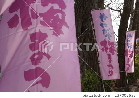 羽根公園梅節 羽根公園梅節 137002653