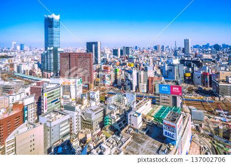 New view of Tokyo cityscape in Japan. View of Kabukicho, Tokyu Kabukicho Tower, trains, Ikebukuro, Otemachi, Marunouchi (back right), etc. New view of Tokyo cityscape in Japan. View of Kabukicho, Tokyu Kabukicho Tower, trains, Ikebukuro, Otemachi, Marunouchi (back right), etc. 137002706