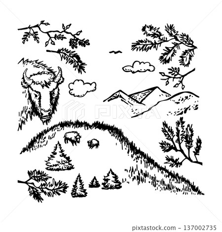 Landscape of vector isolated natural objects Landscape of vector isolated natural objects 137002735