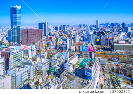 New view of Tokyo cityscape in Japan. View of Kabukicho, Tokyu Kabukicho Tower, trains, Otemachi, Marunouchi (back right), etc. 137002855