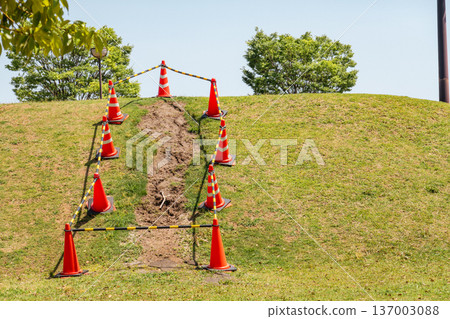Traffic cones installed to prevent landslides on grassy slopes Traffic cones installed to prevent landslides on grassy slopes 137003088