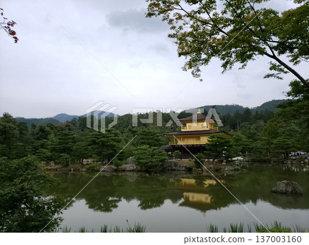 陰天 - 金閣寺 陰天 - 金閣寺 137003160