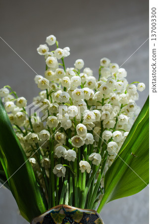 Convallaria majalis bouquet in ornate ceramic vase. Window light with shadow patterns. Fresh spring flowers indoors.  137003300