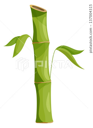Natural bamboo stem. Eco plant cartoon element Natural bamboo stem. Eco plant cartoon element 137004315