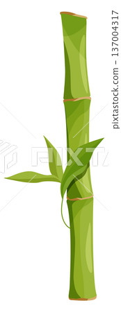 Tropical greenery stem. Cartoon floral bamboo tree Tropical greenery stem. Cartoon floral bamboo tree 137004317