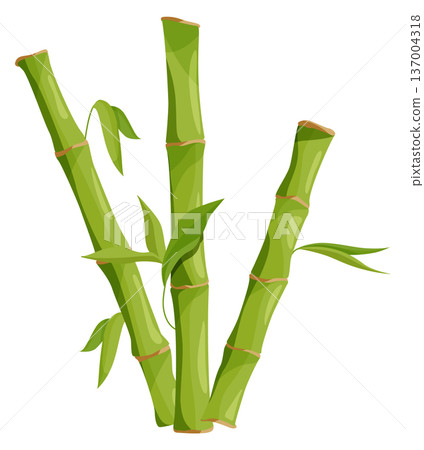Jungle bamboo tree cartoon element. Green botany Jungle bamboo tree cartoon element. Green botany 137004318