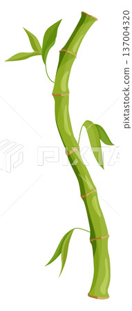 Curved bamboo stem. Exotic asian tree element Curved bamboo stem. Exotic asian tree element 137004320