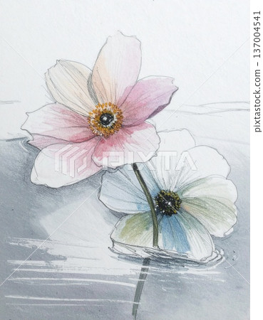 flowers in a vase flowers in a vase 137004541