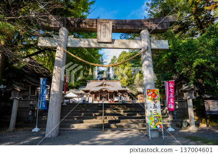 Torii gate and worship hall of Shinbashira Shrine (Miyakonojo City) Torii gate and worship hall of Shinbashira Shrine (Miyakonojo City) 137004601