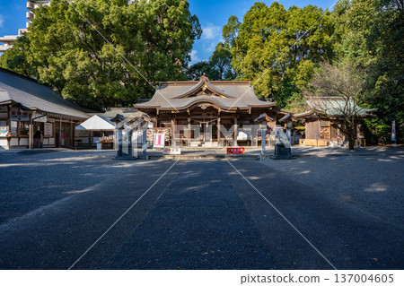 新柱神社（都市）景色 137004605