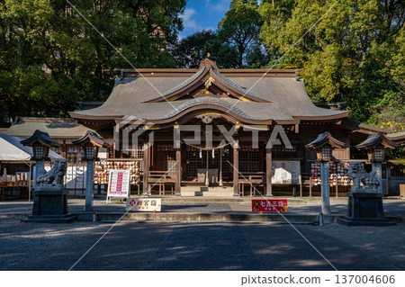 新柱神社（都市）景色 137004606