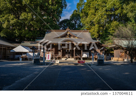 Scenery of Shinbashira Shrine (Miyakonojo City) Scenery of Shinbashira Shrine (Miyakonojo City) 137004611