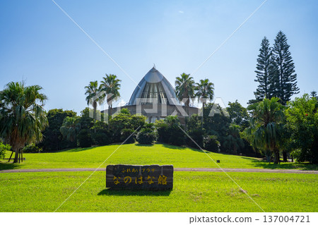 納米花館社區廣場(指宿市)的景色 納米花館社區廣場(指宿市)的景色 137004721