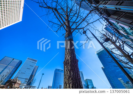 日本東京城市景觀的憂鬱…日本經濟的憂鬱。丸之內商業區和八重洲大樓的景色。 137005061