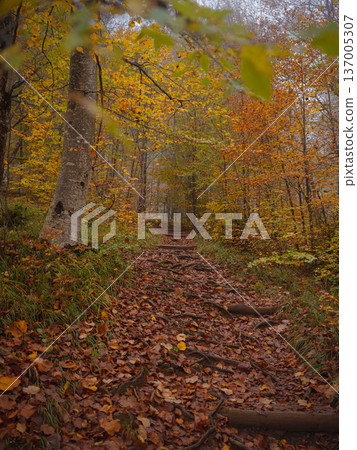 Plitvice Lakes in Croatia during autumn Plitvice Lakes in Croatia during autumn 137005307