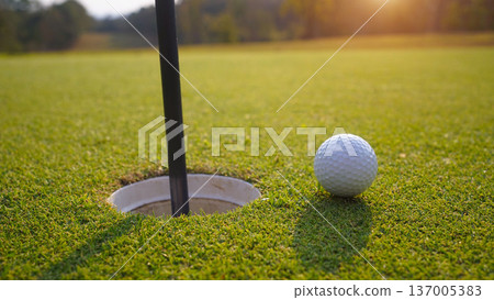 Golf ball is on a green lawn in a beautiful golf course with morning sunshine. 137005383