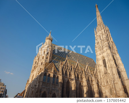 Saint Stephens Cathedral Stephansplatz Vienna Summer Cityscape 137005442