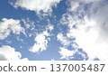藍天白雲 137005487