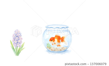Hyacinth and orange goldfish in a fishbowl. Watercolor style gentle spring illustration. 137006079