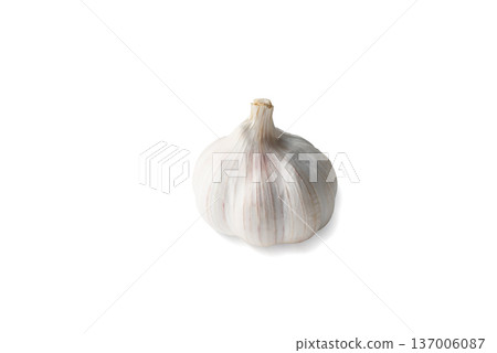Single Organic Garlic Bulb Isolated on White - High Quality Food Ingredient Single Organic Garlic Bulb Isolated on White - High Quality Food Ingredient 137006087