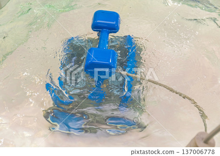 Swimming Pool Robot Cleaner 137006778