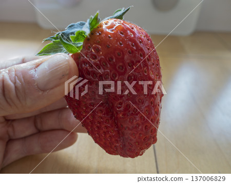 用指尖感受一下重量,這是個頭最大、完全成熟的科託卡蘋果。 用指尖感受一下重量,這是個頭最大、完全成熟的科託卡蘋果。 137006829