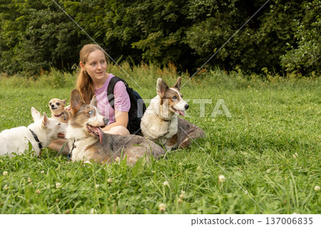 Professional dog walker young woman with pack of dogs is sitting on grass and enjoying walk animals. 137006835