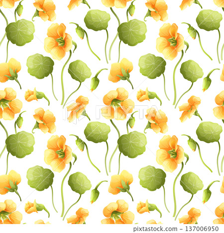 Seamless floral pattern with yellow nasturtium flowers and green leaves on white background. Botanical vector illustration for textile and wallpaper design. 137006950