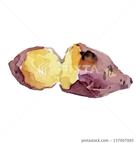 Watercolor illustration of roasted sweet potato 137007885