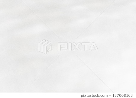 A background image of a soft, shimmering light pattern in pale silver. 137008163