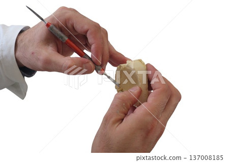 Dental technician sculpting a dental mold with tool Dental technician sculpting a dental mold with tool 137008185
