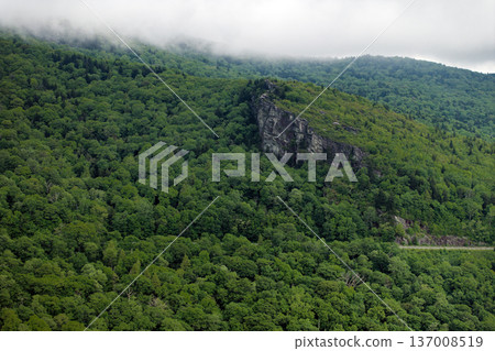 Grandfather Mountain in NC. Summer woods of Appalachian mountains with green canopies in colorful forest. Wild nature in summertime season Grandfather Mountain in NC. Summer woods of Appalachian mountains with green canopies in colorful forest. Wild nature in summertime season 137008519